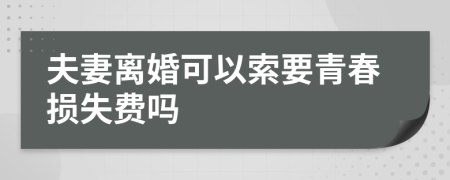 夫妻离婚可以索要青春损失费吗