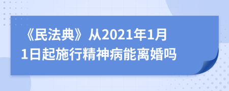 《民法典》从2021年1月1日起施行精神病能离婚吗