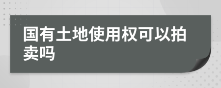 国有土地使用权可以拍卖吗