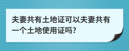 夫妻共有土地证可以夫妻共有一个土地使用证吗?