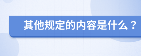 其他规定的内容是什么？