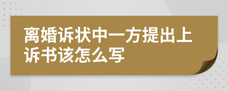 离婚诉状中一方提出上诉书该怎么写