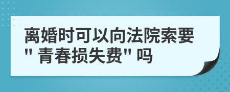 离婚时可以向法院索要" 青春损失费" 吗