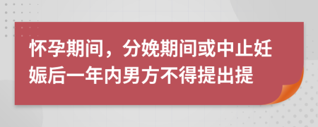 怀孕期间，分娩期间或中止妊娠后一年内男方不得提出提