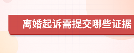 离婚起诉需提交哪些证据