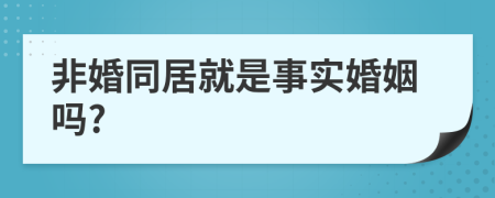 非婚同居就是事实婚姻吗?