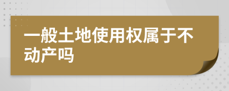 一般土地使用权属于不动产吗