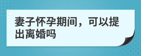 妻子怀孕期间，可以提出离婚吗