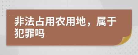 非法占用农用地，属于犯罪吗