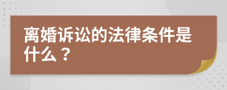 离婚诉讼的法律条件是什么？