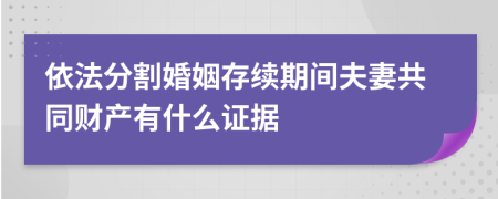 依法分割婚姻存续期间夫妻共同财产有什么证据