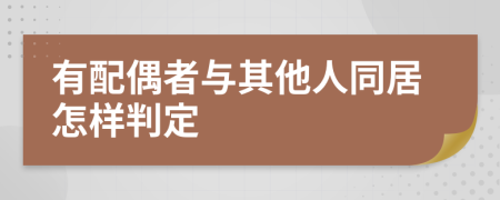 有配偶者与其他人同居怎样判定