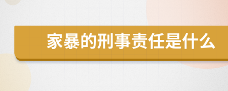 家暴的刑事责任是什么