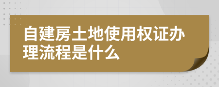 自建房土地使用权证办理流程是什么