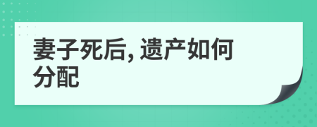 妻子死后, 遗产如何分配