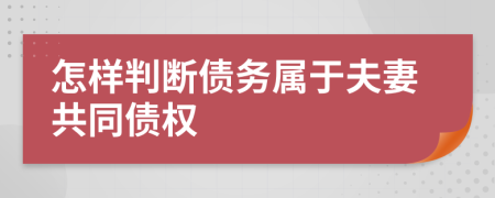 怎样判断债务属于夫妻共同债权