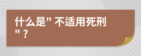 什么是" 不适用死刑" ?