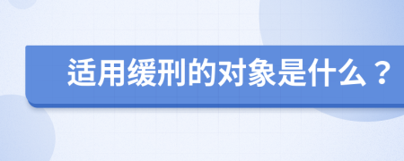 适用缓刑的对象是什么？