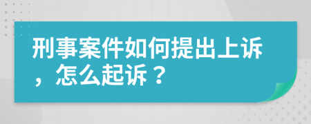 刑事案件如何提出上诉，怎么起诉？