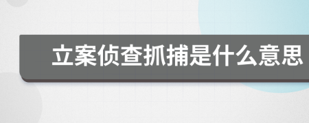 立案侦查抓捕是什么意思