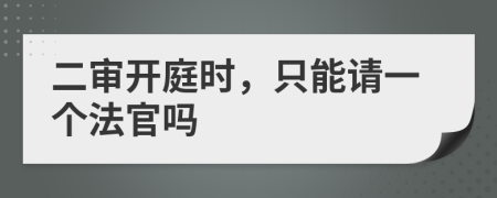 二审开庭时，只能请一个法官吗
