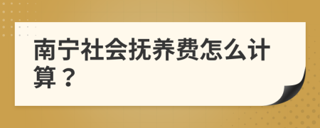 南宁社会抚养费怎么计算？