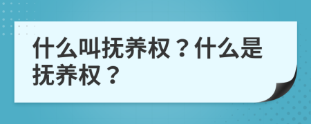 什么叫抚养权？什么是抚养权？