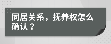 同居关系，抚养权怎么确认？