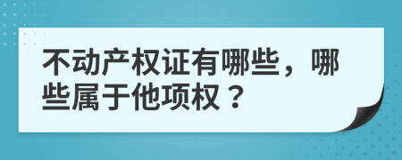 不动产权证有哪些，哪些属于他项权？