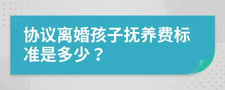 协议离婚孩子抚养费标准是多少？