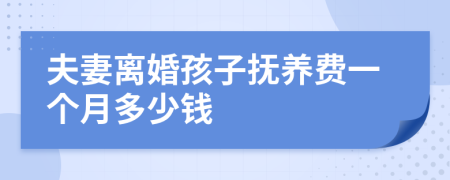 夫妻离婚孩子抚养费一个月多少钱