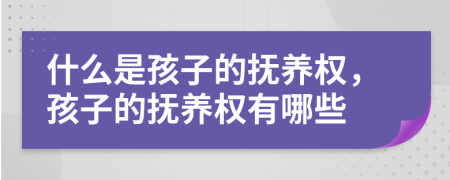 什么是孩子的抚养权，孩子的抚养权有哪些