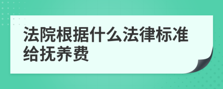 法院根据什么法律标准给抚养费