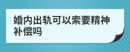 婚内出轨可以索要精神补偿吗