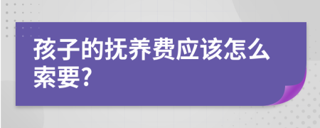 孩子的抚养费应该怎么索要?
