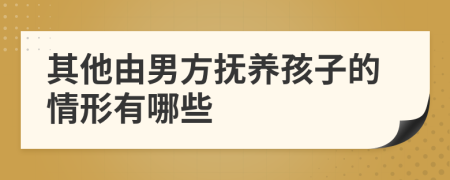 其他由男方抚养孩子的情形有哪些