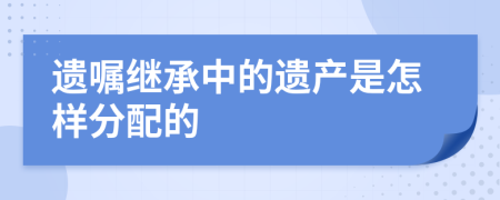 遗嘱继承中的遗产是怎样分配的