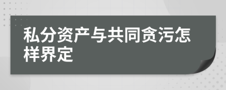 私分资产与共同贪污怎样界定