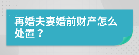 再婚夫妻婚前财产怎么处置？