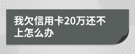 我欠信用卡20万还不上怎么办