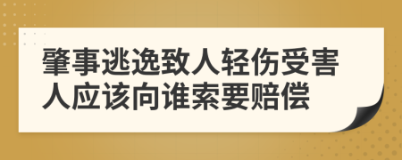 肇事逃逸致人轻伤受害人应该向谁索要赔偿