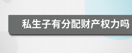 私生子有分配财产权力吗