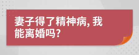 妻子得了精神病, 我能离婚吗?