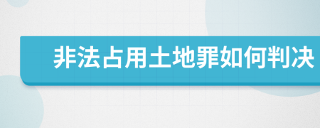 非法占用土地罪如何判决