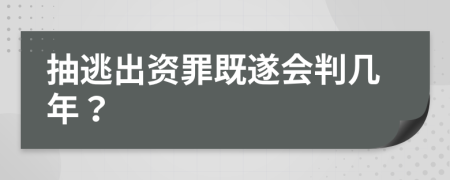 抽逃出资罪既遂会判几年？