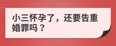 小三怀孕了，还要告重婚罪吗？