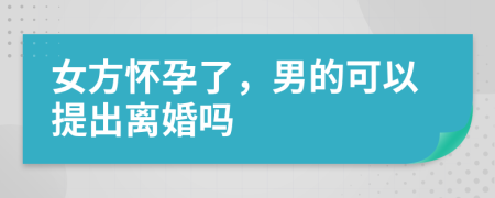 女方怀孕了，男的可以提出离婚吗