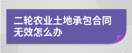 二轮农业土地承包合同无效怎么办