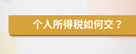 个人所得税如何交？