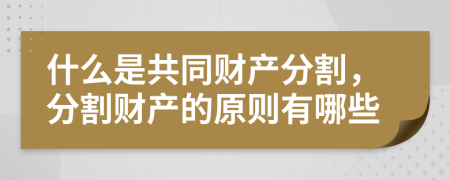 什么是共同财产分割，分割财产的原则有哪些